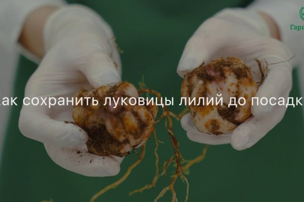 Сайты с наркотой