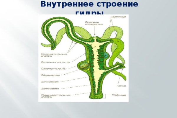 Кракен онион даркнет площадка