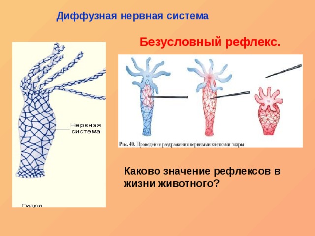 Kraken зеркало ссылка онлайн