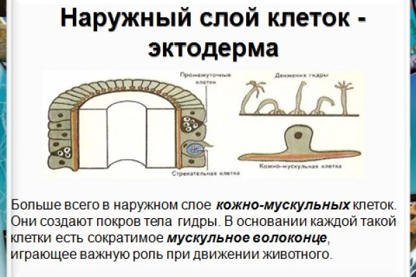 Ссылка на кракен даркнет